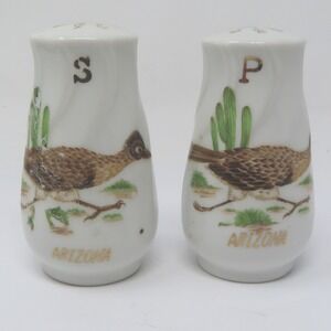 Vintage Arizona Roadrunner Salt and Pepper Shakers Porcelain Desert Souvenir
